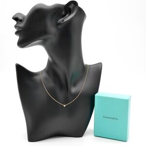 🍓TIFFANY By the Yard Necklace